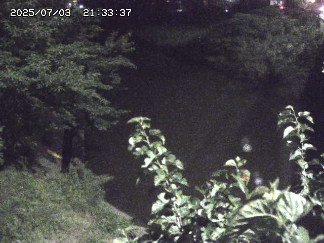 取得できませんでした