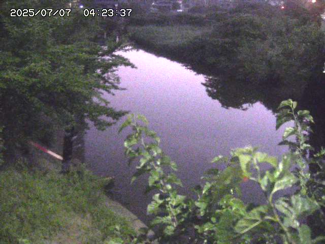 取得できませんでした