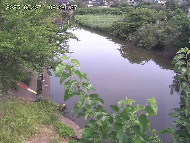 取得できませんでした