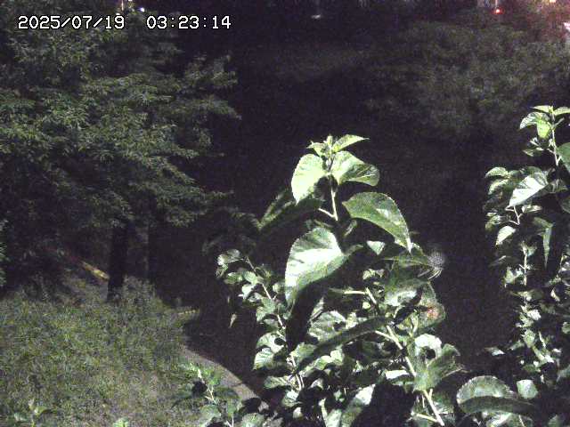 取得できませんでした