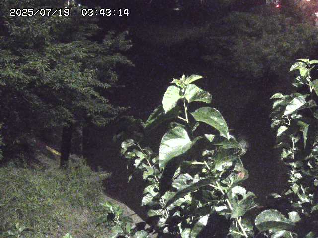 取得できませんでした