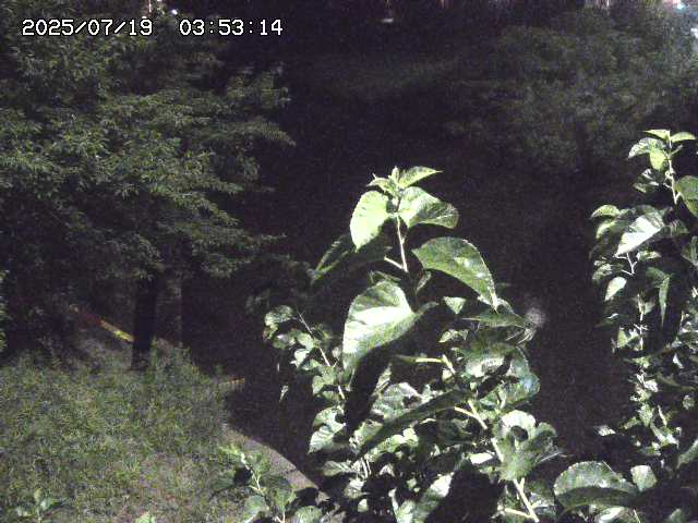 取得できませんでした