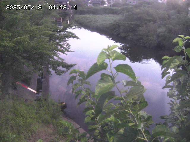 取得できませんでした