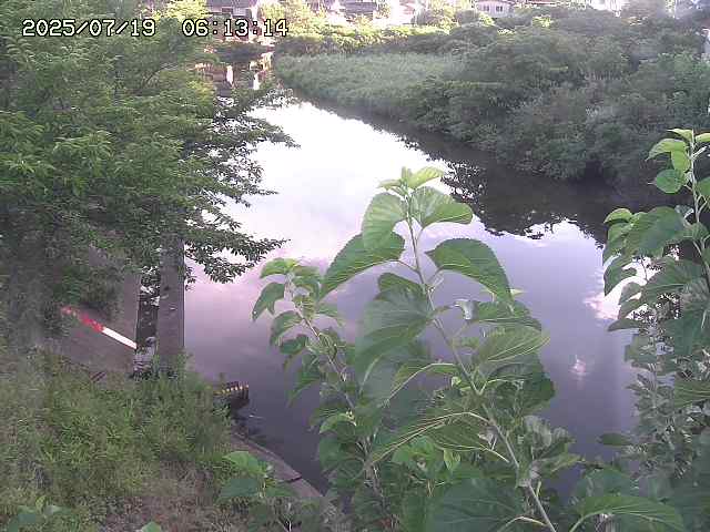 取得できませんでした