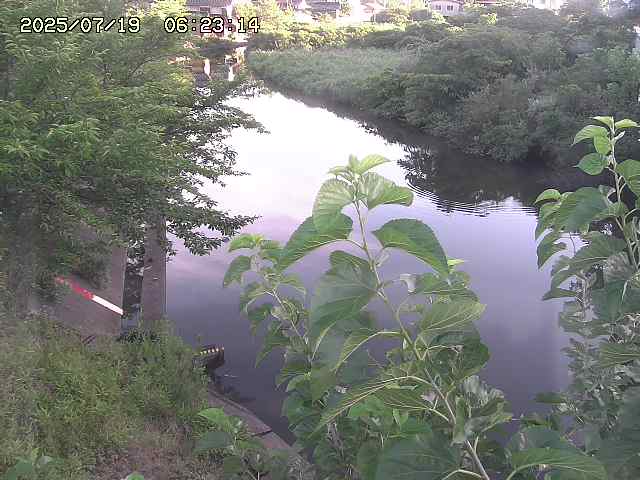 取得できませんでした