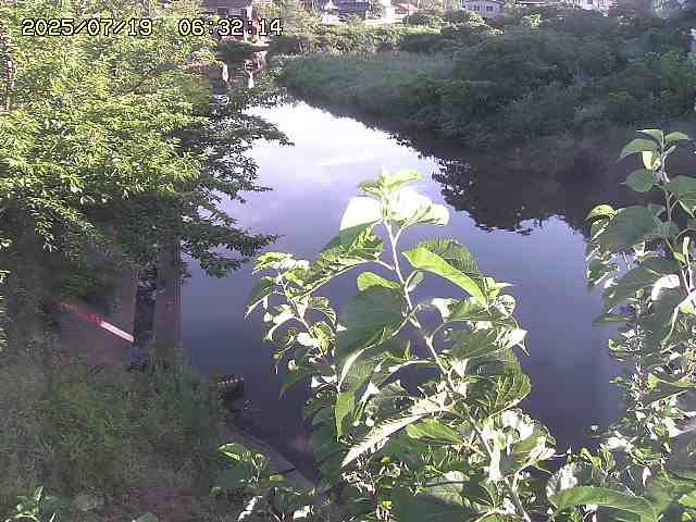 取得できませんでした