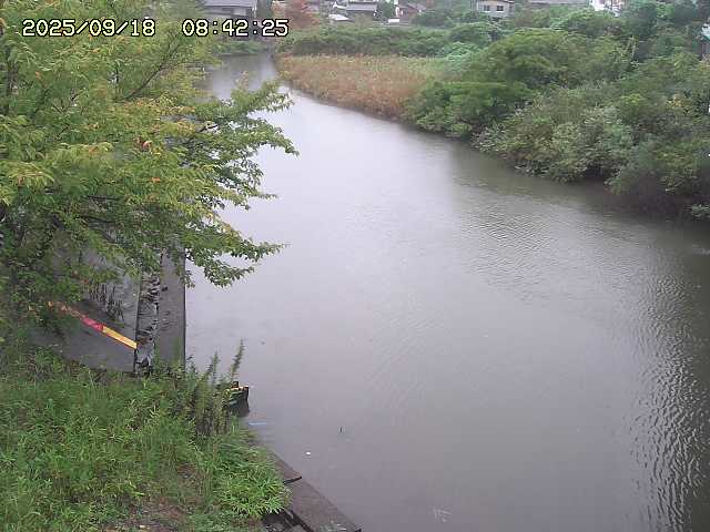 取得できませんでした