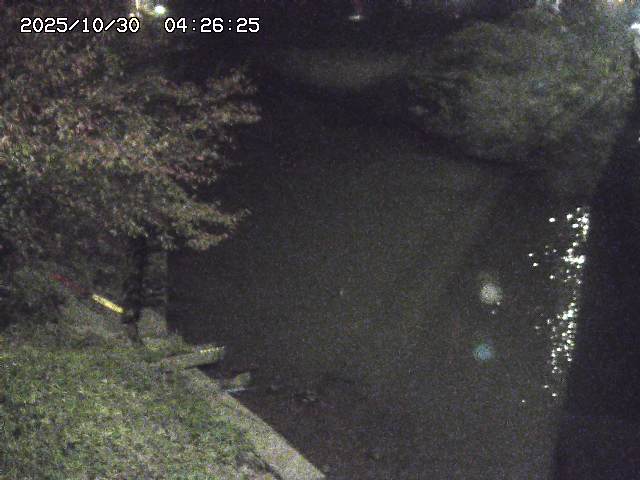 取得できませんでした