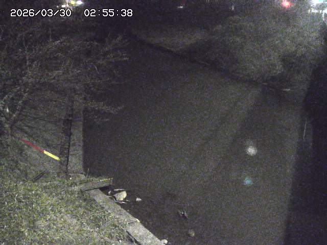 取得できませんでした