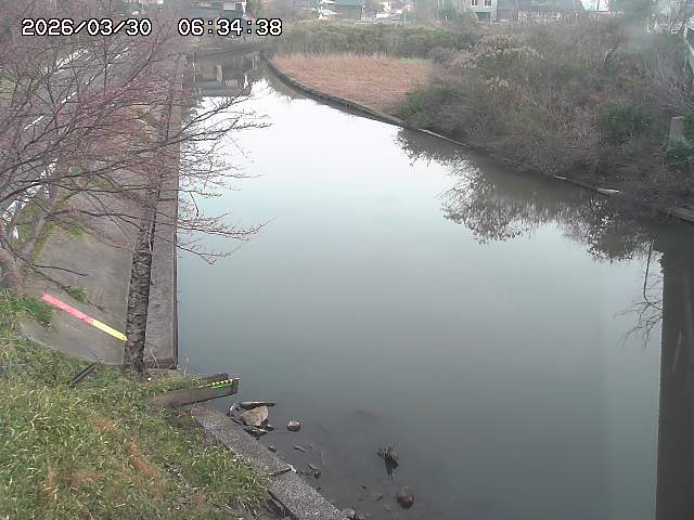 取得できませんでした