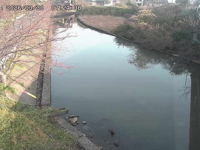 取得できませんでした