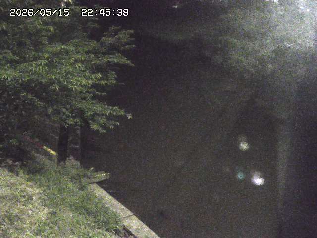 取得できませんでした