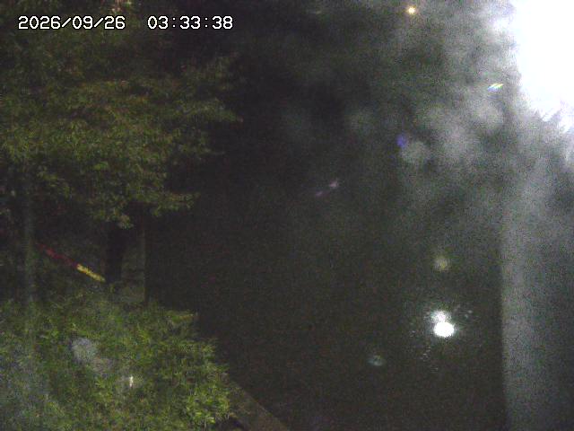 取得できませんでした