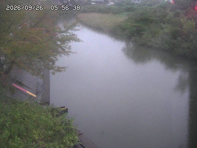 取得できませんでした