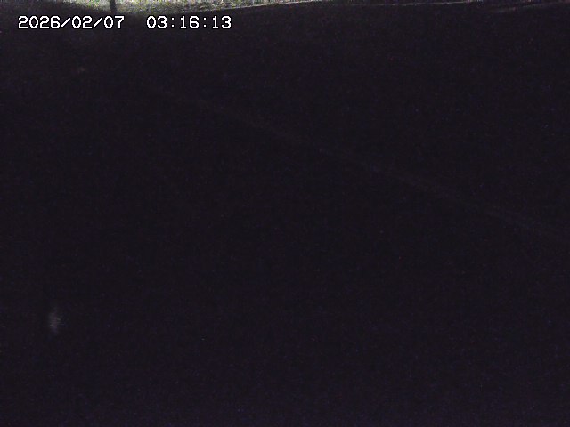 取得できませんでした