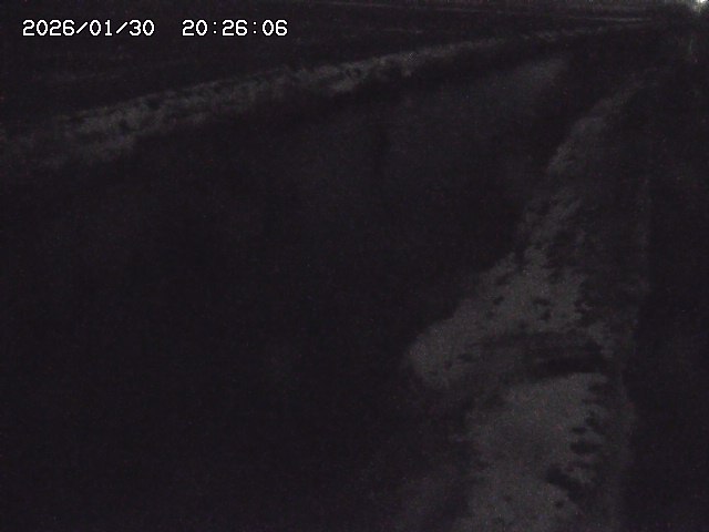 取得できませんでした