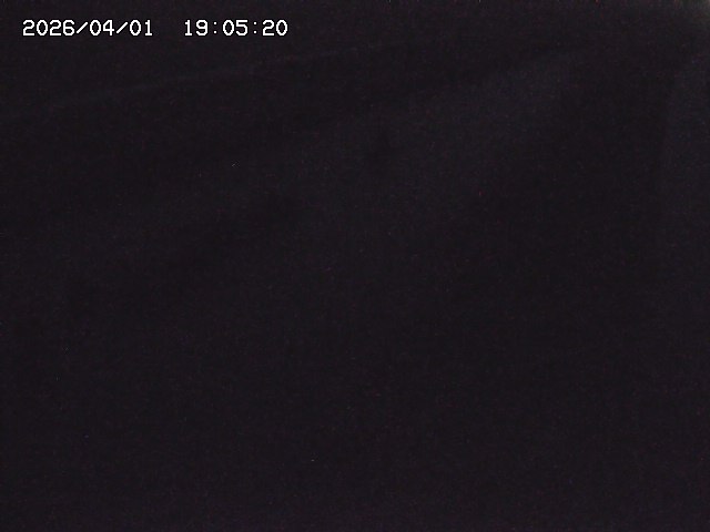 取得できませんでした