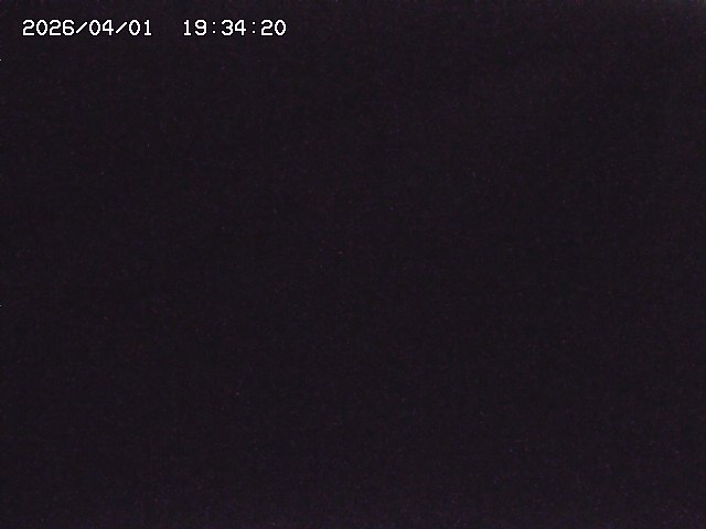 取得できませんでした