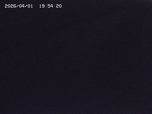 取得できませんでした