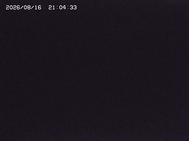 取得できませんでした