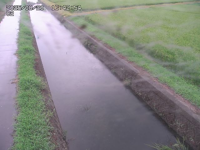 取得できませんでした
