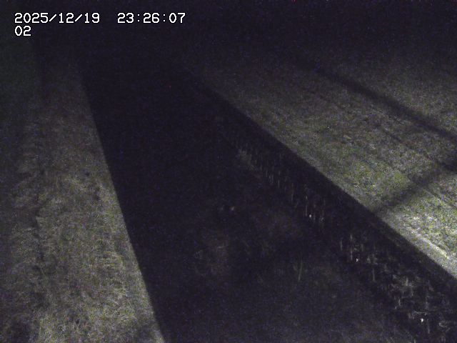 取得できませんでした