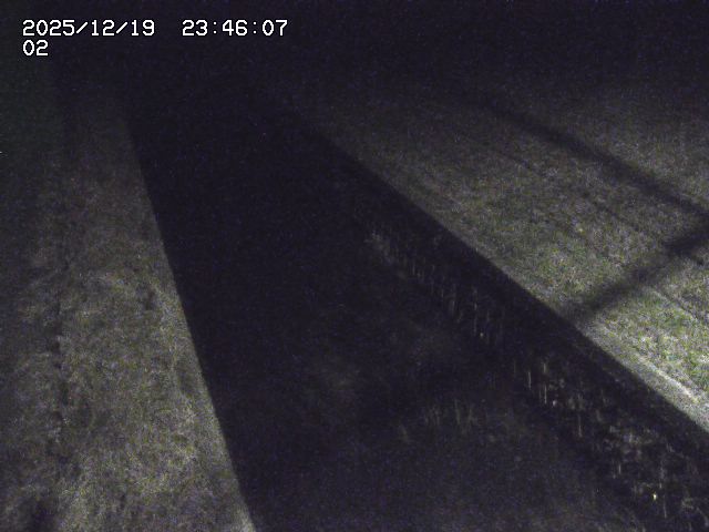 取得できませんでした