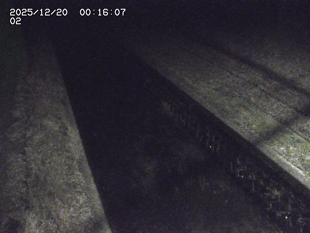 取得できませんでした