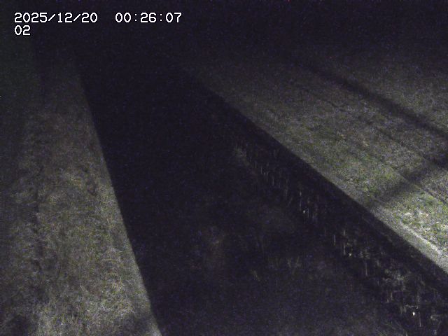 取得できませんでした