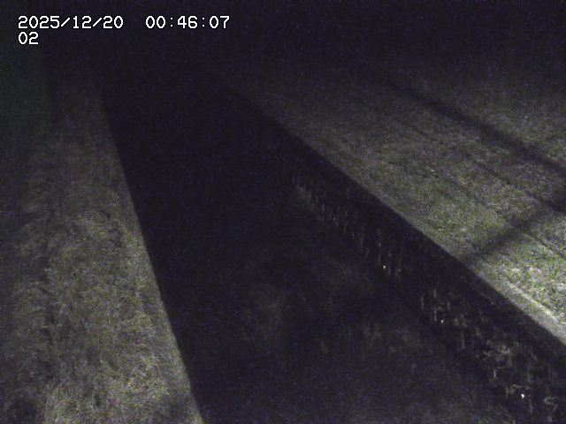 取得できませんでした