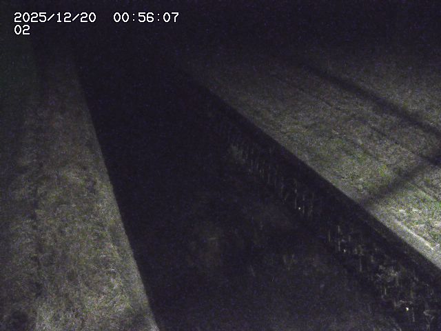 取得できませんでした