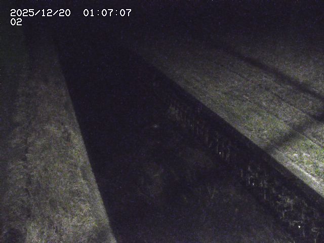 取得できませんでした