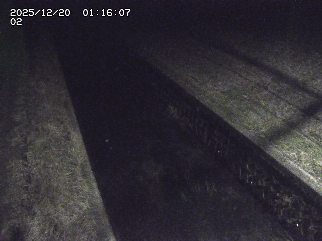 取得できませんでした