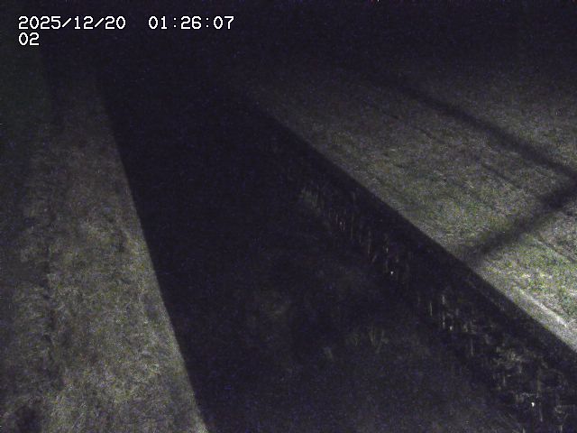 取得できませんでした