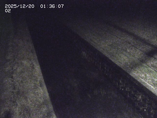 取得できませんでした