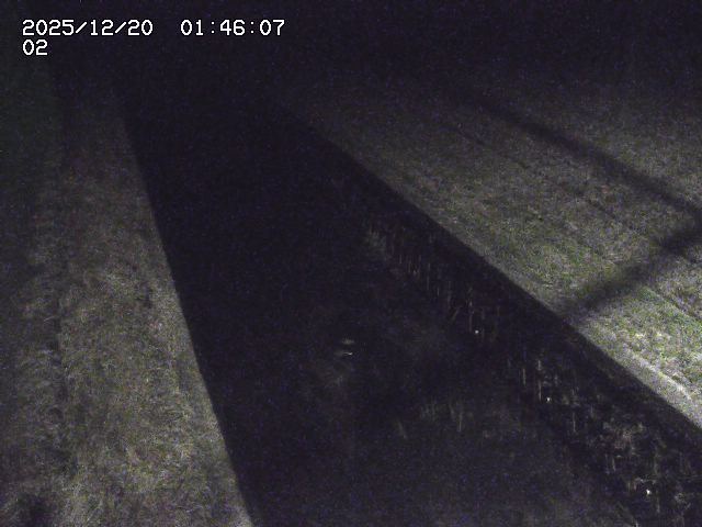 取得できませんでした