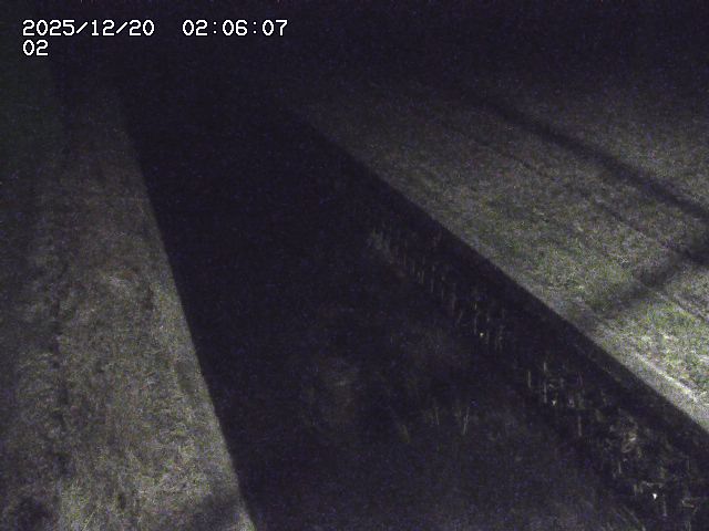 取得できませんでした