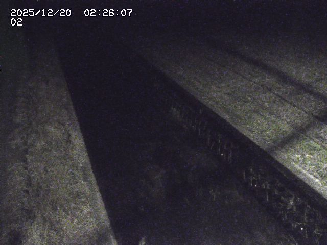 取得できませんでした