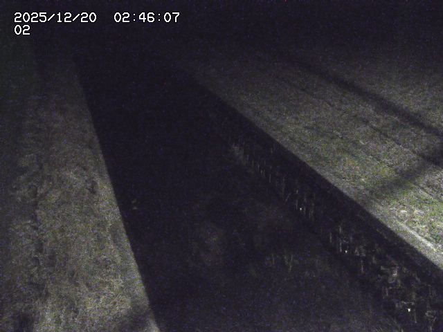 取得できませんでした