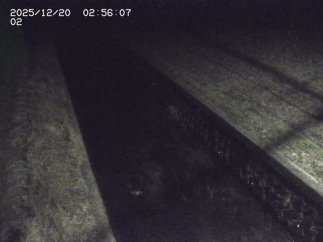 取得できませんでした