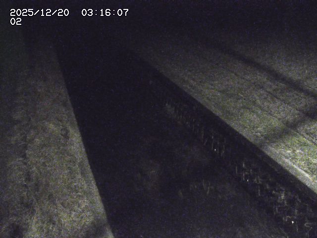 取得できませんでした