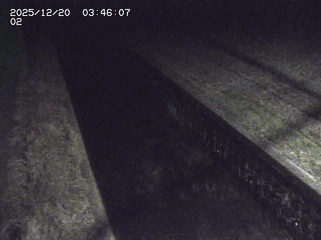 取得できませんでした