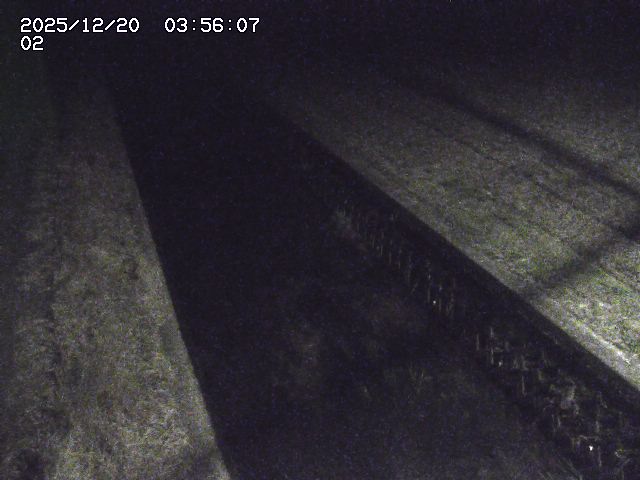 取得できませんでした