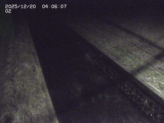 取得できませんでした