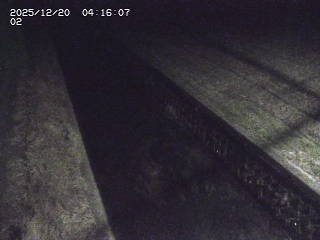 取得できませんでした