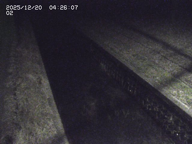 取得できませんでした