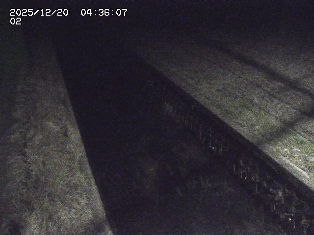 取得できませんでした