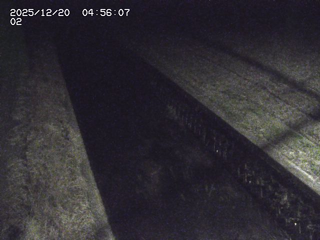 取得できませんでした