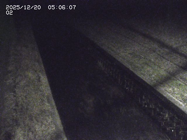 取得できませんでした