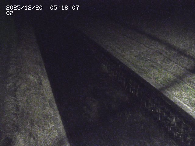 取得できませんでした